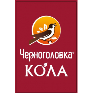 Основы и концентраты для напитков