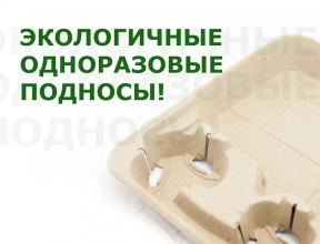 Экологичные одноразовые подносы! 